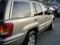 2001 Champagne Pearl Jeep Grand Cherokee Limited  photo #10