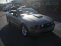 Vapor Silver Metallic 2009 Ford Mustang GT Premium Convertible
