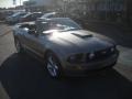 2009 Vapor Silver Metallic Ford Mustang GT Premium Convertible  photo #1