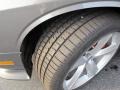 Tungsten Metallic - Challenger SRT8 392 Photo No. 13
