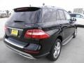 Black - ML 350 4Matic Photo No. 4