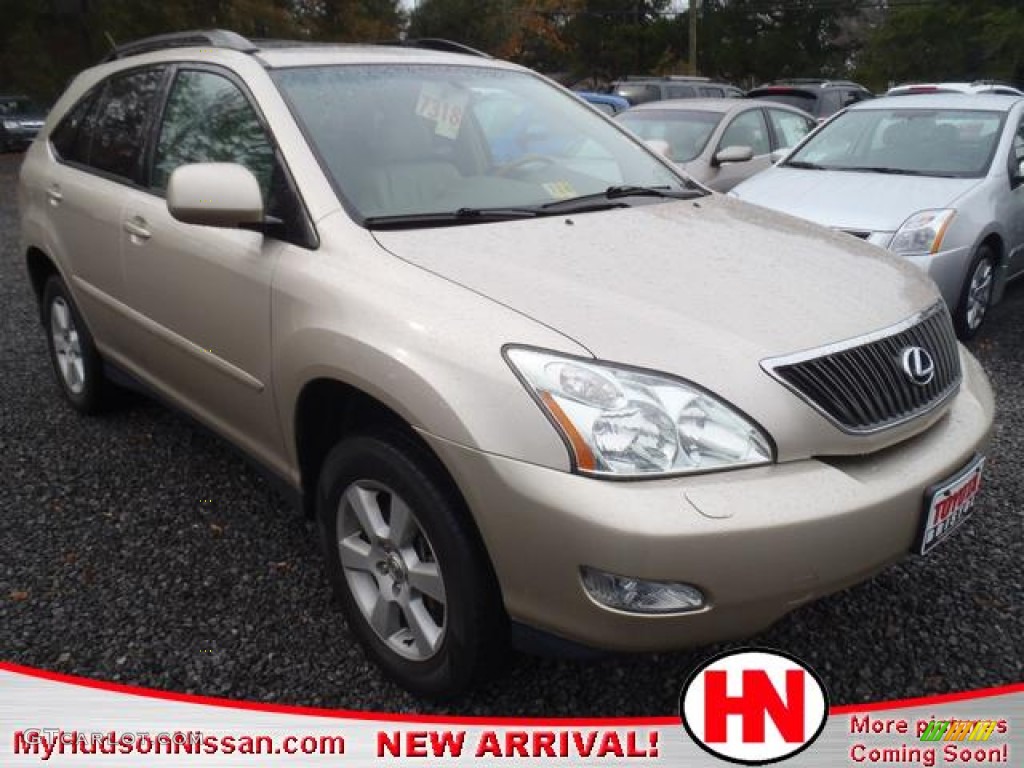 2006 RX 330 AWD - Savannah Metallic / Ivory photo #1