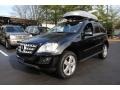Black - ML 350 4Matic Photo No. 1