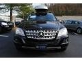 Black - ML 350 4Matic Photo No. 2