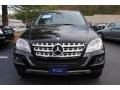 Black - ML 350 4Matic Photo No. 2