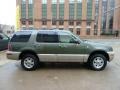 Estate Green Metallic - Mountaineer AWD Photo No. 5