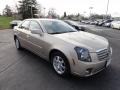 Sand Storm - CTS Sport Sedan Photo No. 4