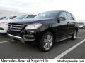 Black - ML 350 4Matic Photo No. 1