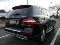 Black - ML 350 4Matic Photo No. 3