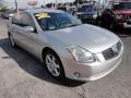 Liquid Silver Metallic - Maxima 3.5 SE Photo No. 7