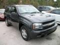 2005 Dark Gray Metallic Chevrolet TrailBlazer LS  photo #7