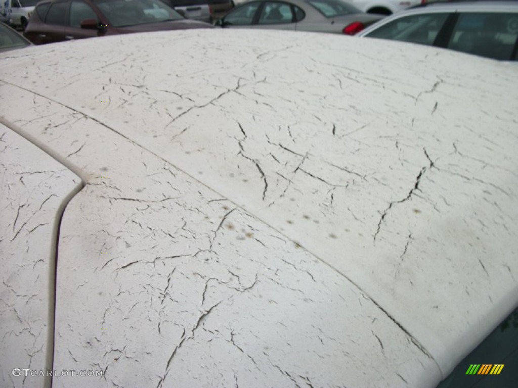 1998 Town Car Executive - Cordovan Red Metallic / Light Parchment photo #4