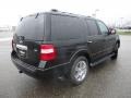 2010 Tuxedo Black Ford Expedition Limited 4x4  photo #3