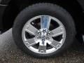 2010 Ford Expedition Limited 4x4 Wheel and Tire Photo