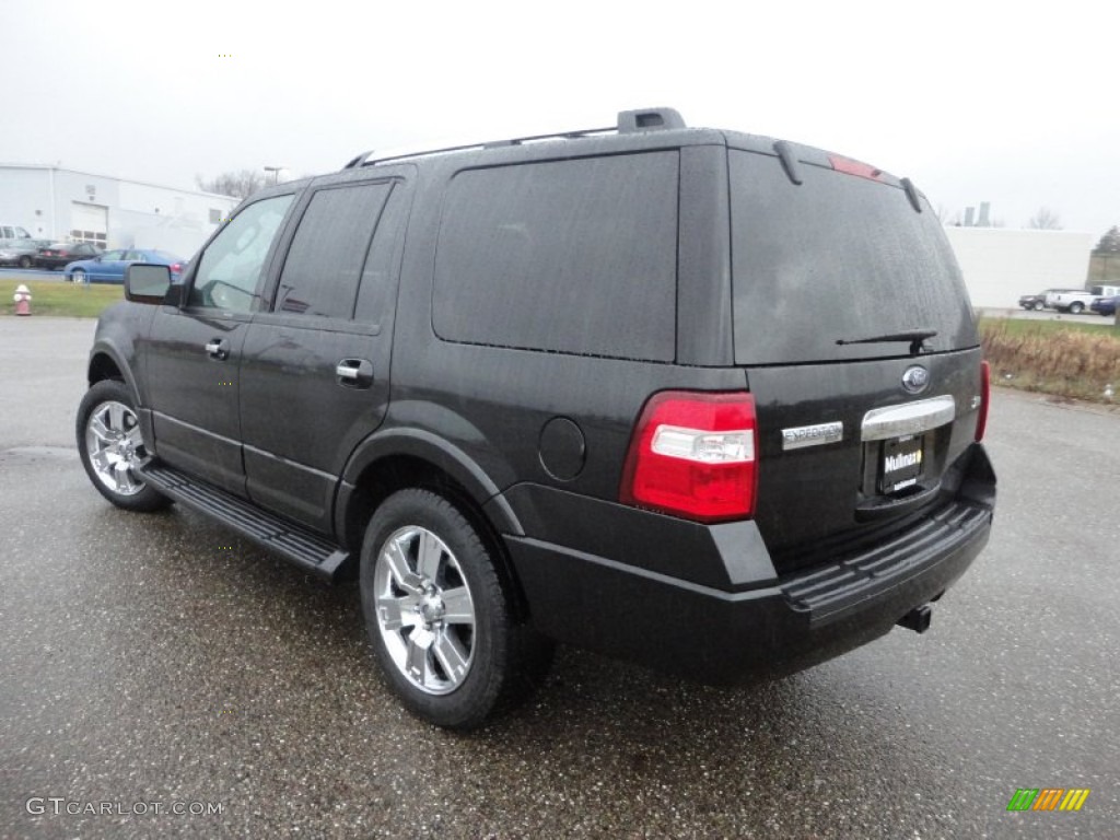 2010 Expedition Limited 4x4 - Tuxedo Black / Charcoal Black photo #10