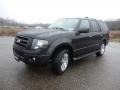 2010 Tuxedo Black Ford Expedition Limited 4x4  photo #11