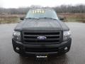 2010 Tuxedo Black Ford Expedition Limited 4x4  photo #12