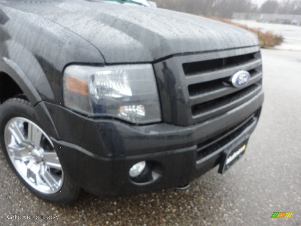 2010 Expedition Limited 4x4 - Tuxedo Black / Charcoal Black photo #13
