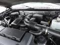 5.4 Liter Flex-Fuel SOHC 24-Valve VVT V8 Engine for 2010 Ford Expedition Limited 4x4 #58250005