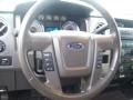 2010 Royal Red Metallic Ford F150 XLT SuperCrew  photo #14