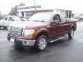 2010 Royal Red Metallic Ford F150 XLT SuperCrew  photo #16