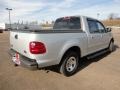 2001 Silver Metallic Ford F150 XLT SuperCrew  photo #3