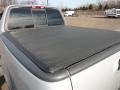 2001 Silver Metallic Ford F150 XLT SuperCrew  photo #17