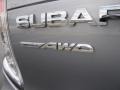 2010 Steel Silver Metallic Subaru Forester 2.5 X Premium  photo #10