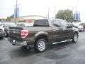 Stone Green Metallic - F150 XLT SuperCrew Photo No. 3