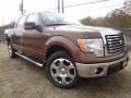 2012 Golden Bronze Metallic Ford F150 XLT SuperCrew  photo #2