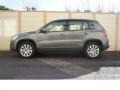 Alpine Grey Metallic - Tiguan S Photo No. 3