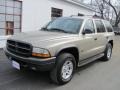 2002 Light Almond Pearl Metallic Dodge Durango Sport 4x4  photo #1