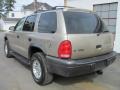 2002 Light Almond Pearl Metallic Dodge Durango Sport 4x4  photo #11