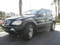 2005 Black Mercedes-Benz ML 350 4Matic Special Edition  photo #2