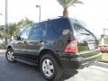 2005 Black Mercedes-Benz ML 350 4Matic Special Edition  photo #8