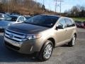 Mineral Grey Metallic - Edge SEL AWD Photo No. 4