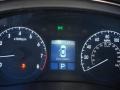 Platinum Metallic - Genesis 4.6 Sedan Photo No. 15