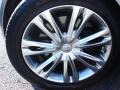 2009 Platinum Metallic Hyundai Genesis 4.6 Sedan  photo #29