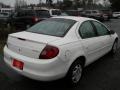 2001 Stone White Dodge Neon SE  photo #4