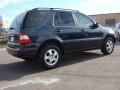 2003 Capri Blue Metallic Mercedes-Benz ML 350 4Matic  photo #6