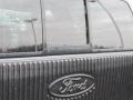 2006 Silver Metallic Ford F150 XLT SuperCrew 4x4  photo #11