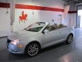 Silver Essence Metallic 2008 Volkswagen Eos Lux