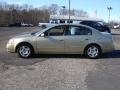 2002 Velvet Beige Nissan Altima 2.5 S  photo #9