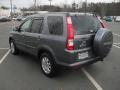 Pewter Pearl - CR-V Special Edition 4WD Photo No. 2