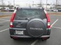 Pewter Pearl - CR-V Special Edition 4WD Photo No. 3