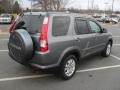 Pewter Pearl - CR-V Special Edition 4WD Photo No. 4