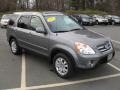 Pewter Pearl - CR-V Special Edition 4WD Photo No. 5