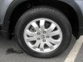 Pewter Pearl - CR-V Special Edition 4WD Photo No. 24
