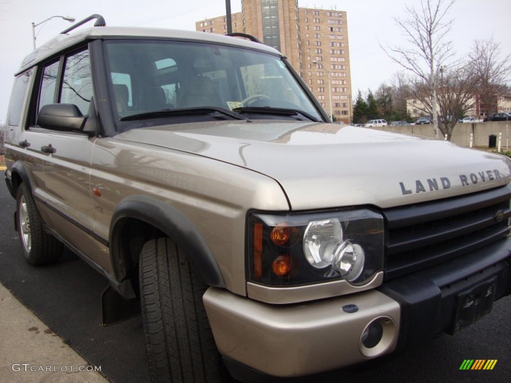 2003 Discovery HSE - White Gold / Alpaca Beige photo #13