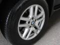 Black Sapphire Metallic - X5 3.0i Photo No. 13